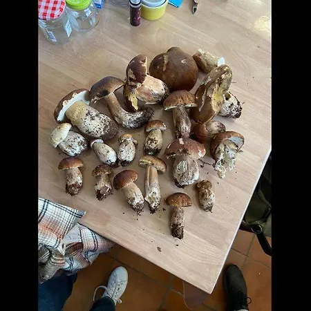 D'hotes La Maison De Monsieur Chaussette Bed & Breakfast Angles (Vendee)