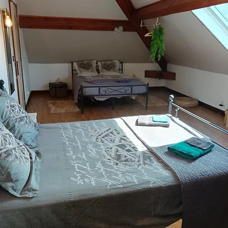 D'hotes La Maison De Monsieur Chaussette Bed & Breakfast