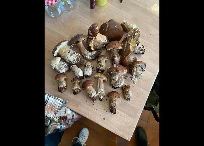 D'hotes La Maison De Monsieur Chaussette ベッド・アンド・ブレックファスト アングル